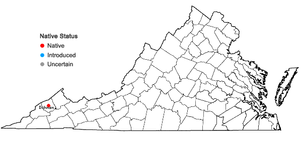 Locations ofVitis palmata Vahl in Virginia