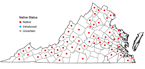 Locations ofVitis riparia Michx. in Virginia