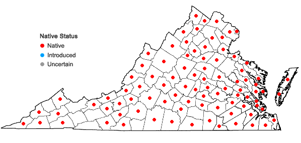 Locations ofVitis vulpina L. in Virginia