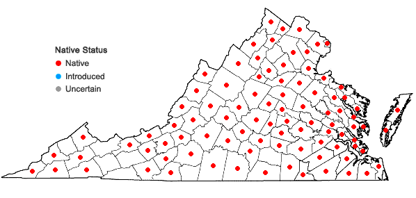 Locations ofVitis vulpina L. in Virginia