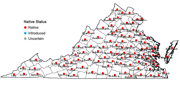 Locations ofVitis vulpina L. in Virginia