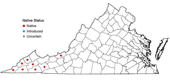 Locations ofVittaria appalachiana Farrar & Mickel in Virginia