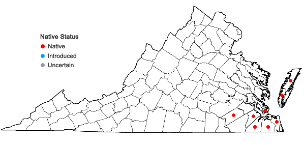 Locations ofVulpia elliotea (Raf.) Fern. in Virginia