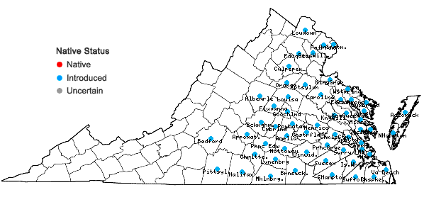 Locations ofVulpia myuros (L.) K.C. Gmel. in Virginia