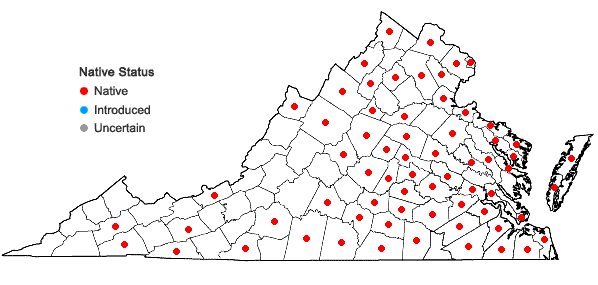 Locations ofVulpia octoflora (Walt.) Rydb. in Virginia