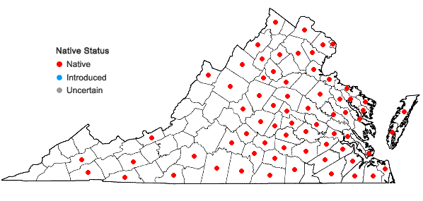 Locations ofVulpia octoflora (Walt.) Rydb. in Virginia