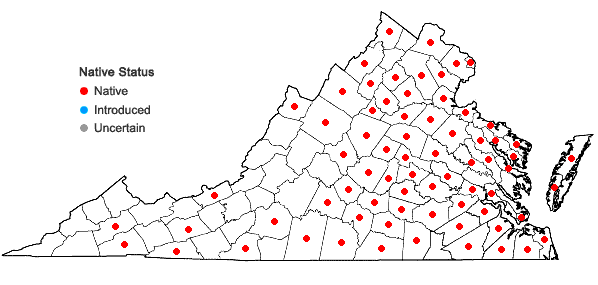 Locations ofVulpia octoflora (Walt.) Rydb. in Virginia