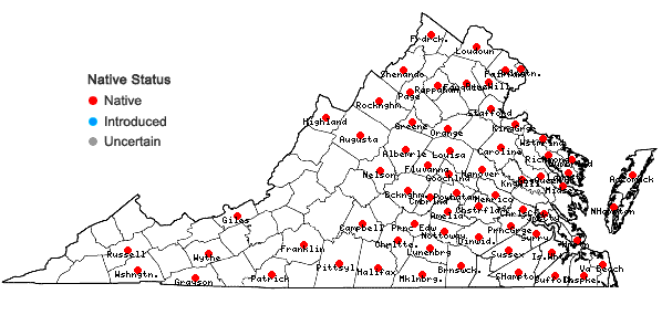 Locations ofVulpia octoflora (Walt.) Rydb. in Virginia