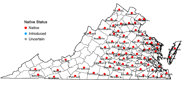 Locations ofVulpia octoflora (Walt.) Rydb. in Virginia