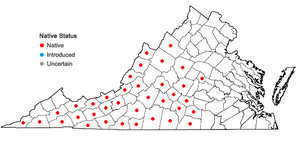 Locations ofWaldsteinia fragarioides (Michx.) Tratt. in Virginia