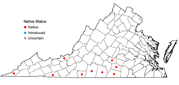 Locations ofWaldsteinia fragarioides (Michx.) Tratt. ssp. doniana (Tratt.) Teppner in Virginia