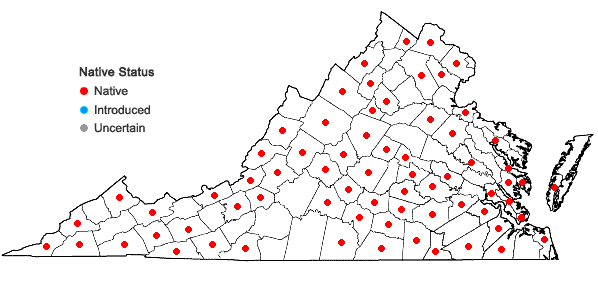 Locations ofWeissia controversa Hedwig in Virginia