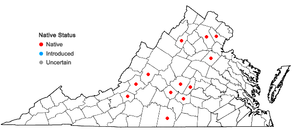 Locations ofWeissia muhlenbergiana (Sw.) W.D. Reese & B.A.E. Lemmon in Virginia