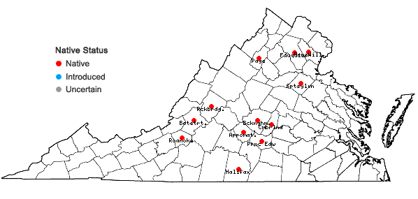 Locations ofWeissia muhlenbergiana (Sw.) W.D. Reese & B.A.E. Lemmon in Virginia