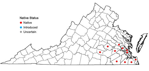 Locations ofWisteria frutescens (L.) Poir. var. frutescens in Virginia