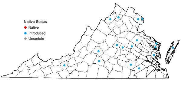 Locations ofWisteria frutescens (L.) Poir. var. macrostachya Torr. & A. Gray in Virginia