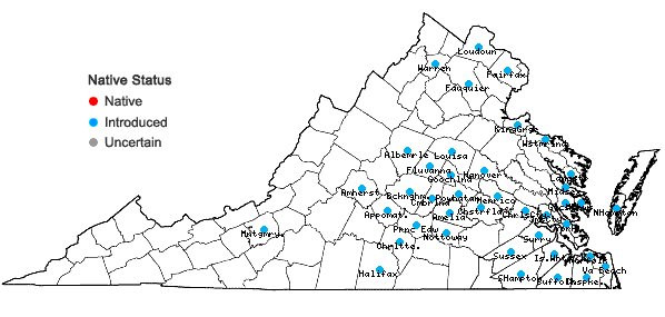 Locations ofWisteria sinensis (Sims) Sweet in Virginia