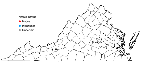 Locations ofWolffia borealis (Engelm.) Landolt in Virginia