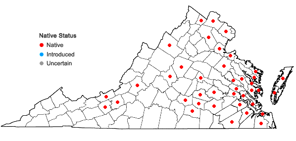 Locations ofWolffia brasiliensis Weddell in Virginia