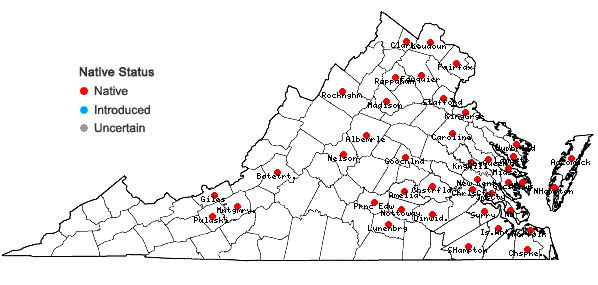Locations ofWolffia brasiliensis Weddell in Virginia