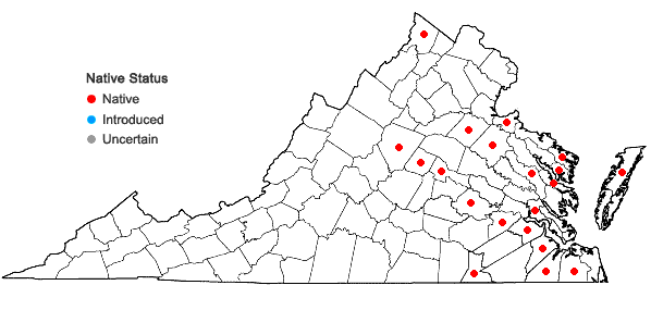 Locations ofWolffia columbiana Karst. in Virginia