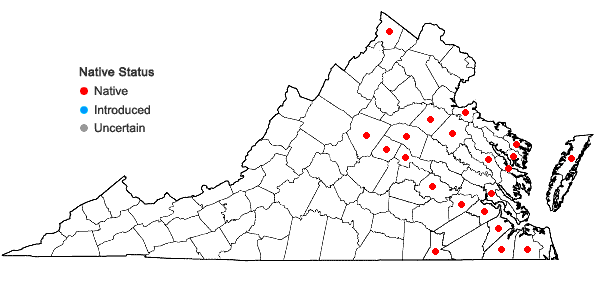 Locations ofWolffia columbiana Karst. in Virginia