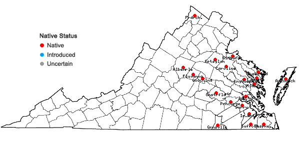 Locations ofWolffia columbiana Karst. in Virginia