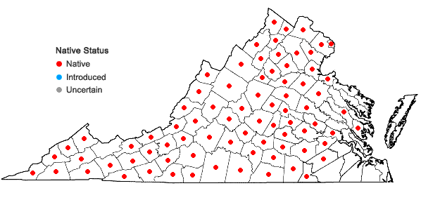 Locations ofWoodsia obtusa (Spreng.) Torr. ssp. obtusa in Virginia