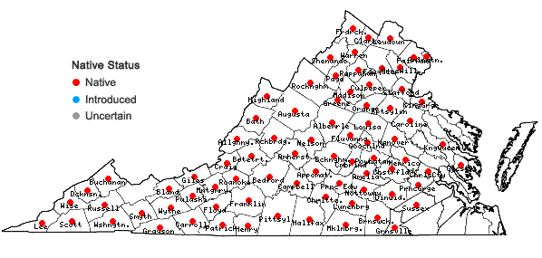 Locations ofWoodsia obtusa (Spreng.) Torr. ssp. obtusa in Virginia