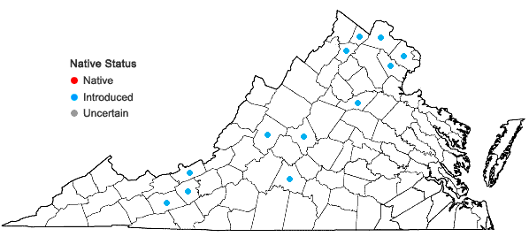 Locations ofXanthium spinosum L. in Virginia