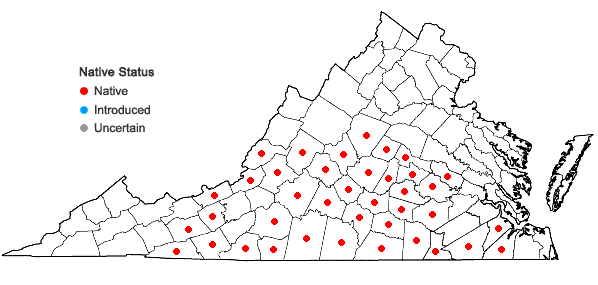 Locations ofXanthorhiza simplicissima Marsh. in Virginia