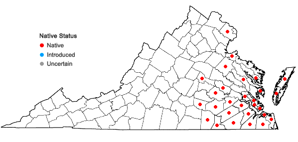 Locations ofXyris difformis Chapman in Virginia
