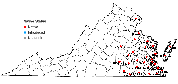 Locations ofXyris difformis Chapman in Virginia