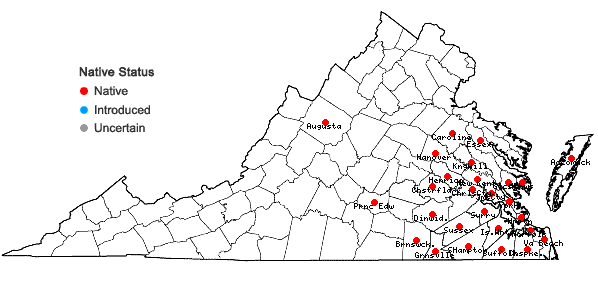 Locations ofXyris jupicai L.C.Richard in Virginia