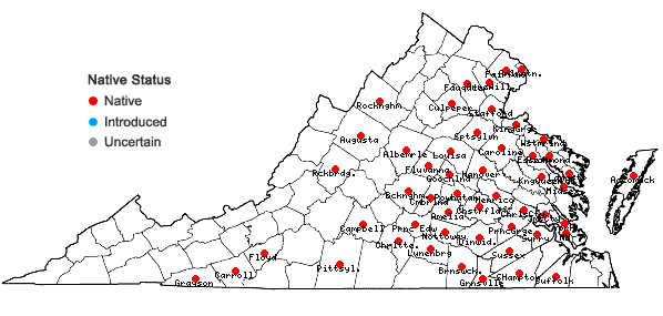 Locations ofXyris torta J.M. Smith in Virginia