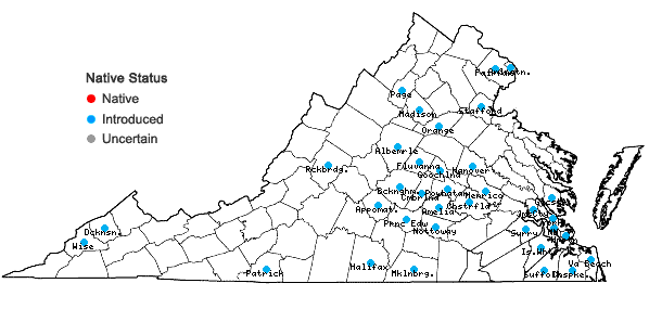 Locations ofYoungia japonica (L.) DC. in Virginia