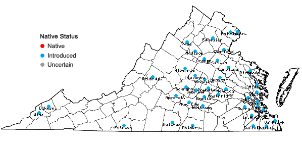 Locations ofYoungia japonica (L.) DC. in Virginia