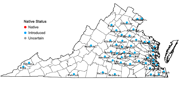 Locations ofYoungia japonica (L.) DC. in Virginia