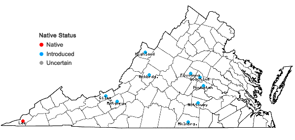 Locations ofYucca flaccida Haworth in Virginia