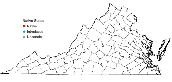 Locations ofYucca gloriosa L. in Virginia