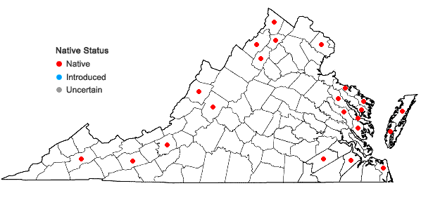 Locations ofZannichellia palustris L. in Virginia
