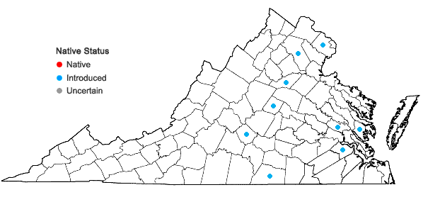 Locations ofZea mays L. ssp. mays in Virginia