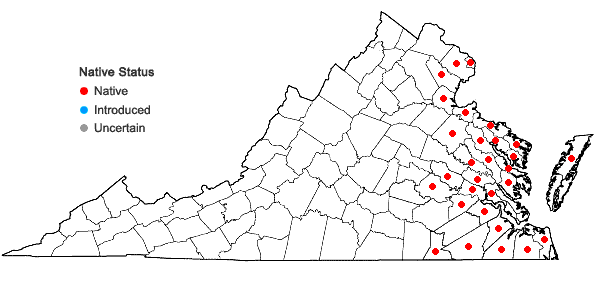 Locations ofZizania aquatica L. var. aquatica in Virginia