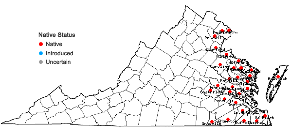 Locations ofZizania aquatica L. var. aquatica in Virginia