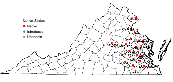 Locations ofZizaniopsis miliacea (Michx.) Doell & Aschers. in Virginia