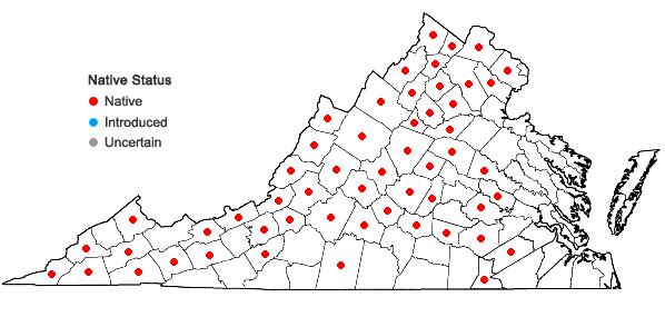 Locations ofZizia aptera (Gray) Fern. in Virginia