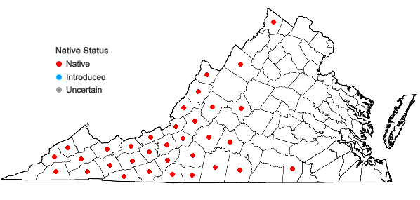Locations ofZizia trifoliata (Michx.) Fern. in Virginia