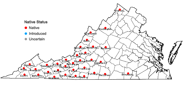 Locations ofZizia trifoliata (Michx.) Fern. in Virginia