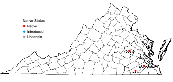 Locations ofZornia bracteata J.F. Gmel. in Virginia