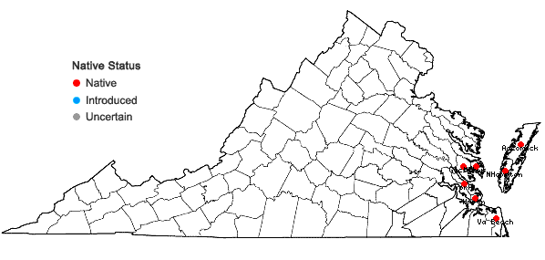 Locations ofZostera marina L. in Virginia